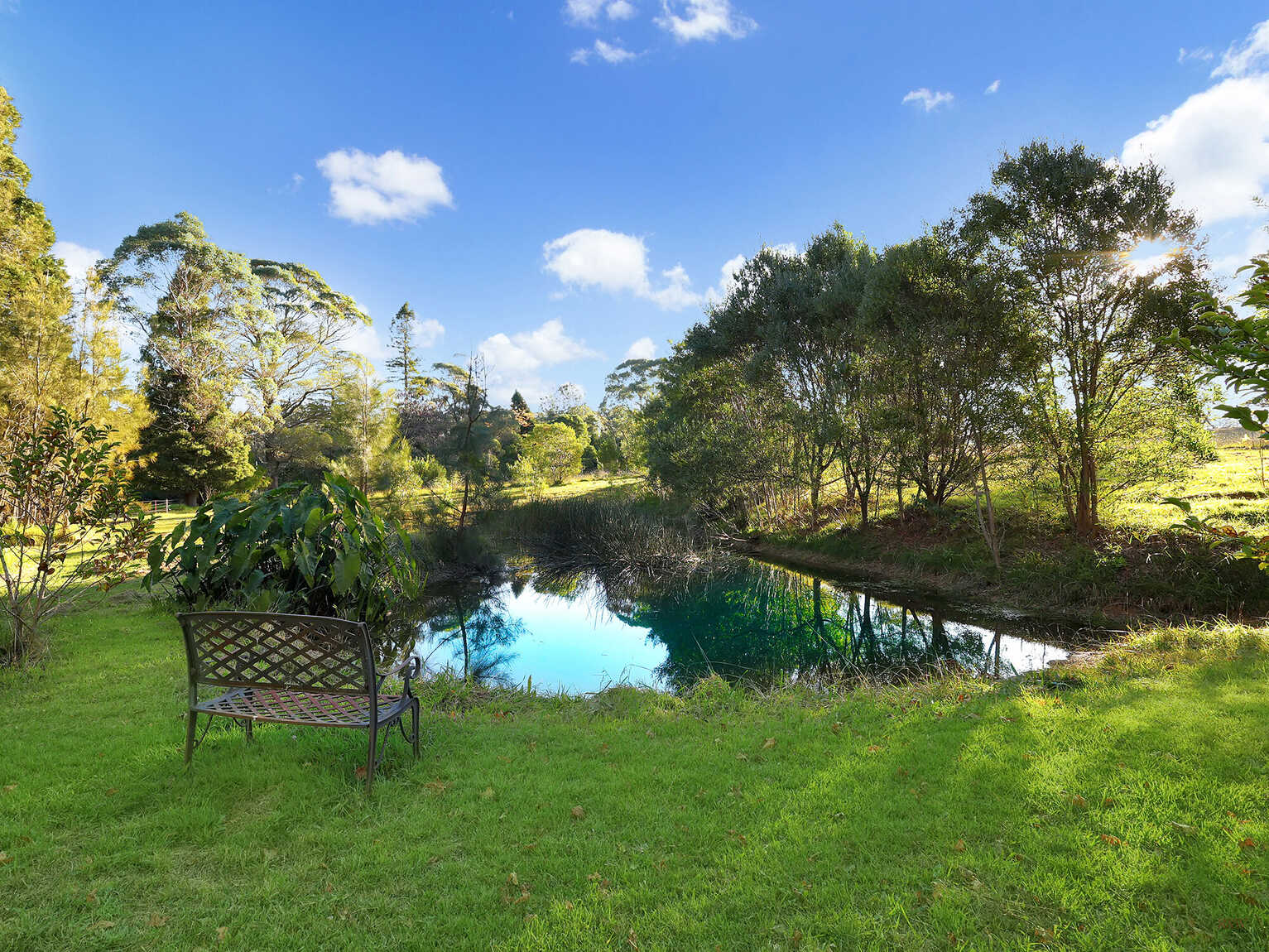 55 Yarrunga Road Wildes Meadow