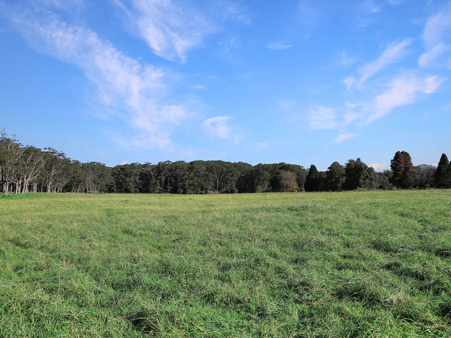 55 Yarrunga Road Wildes Meadow