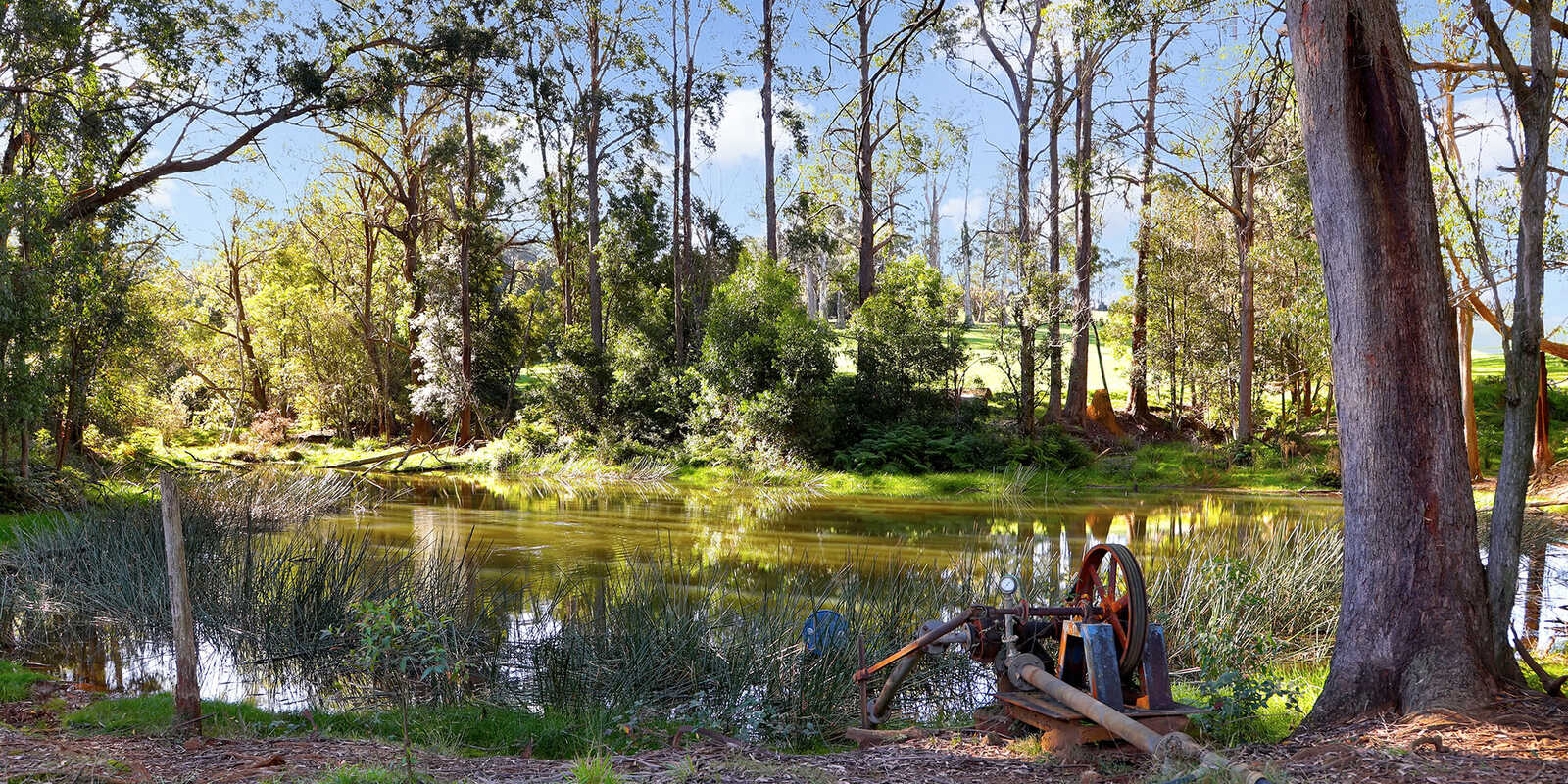 55 Yarrunga Road Wildes Meadow