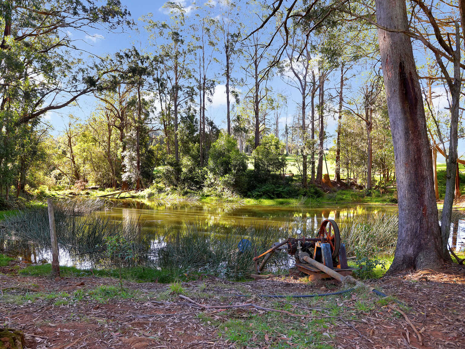 55 Yarrunga Road Wildes Meadow