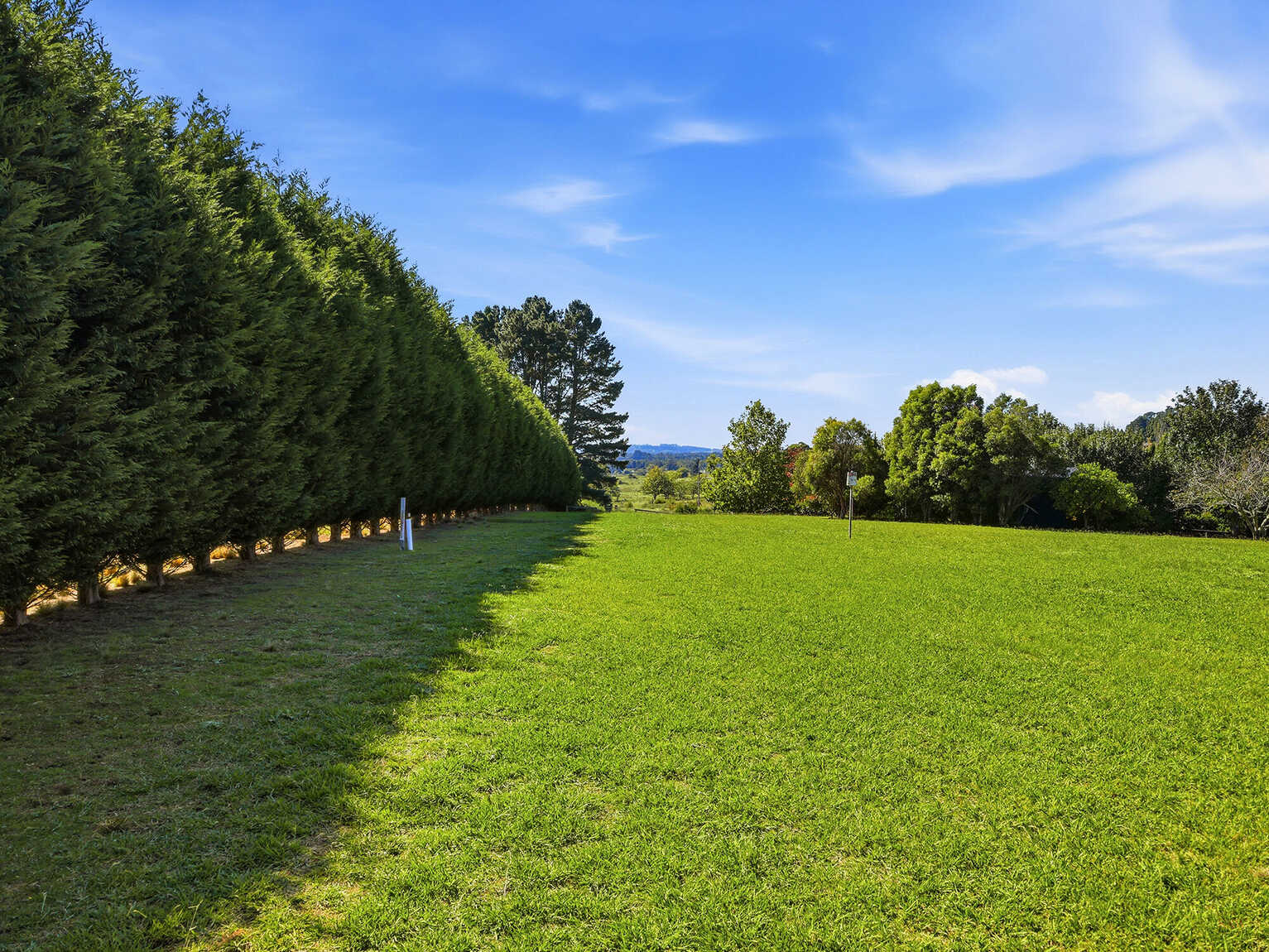 Moss Vale Moss Vale