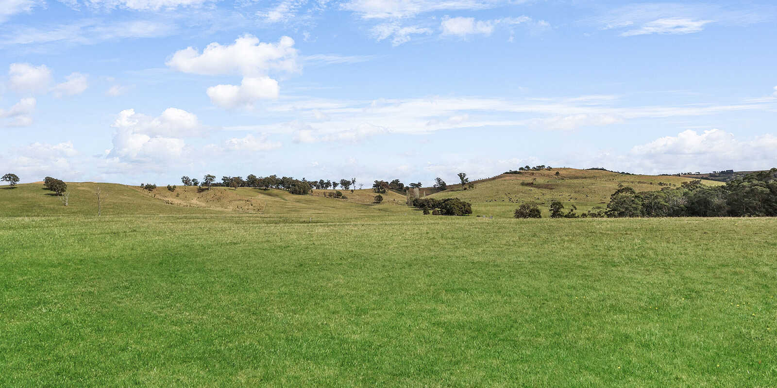 60 Wanganderry Road High Range