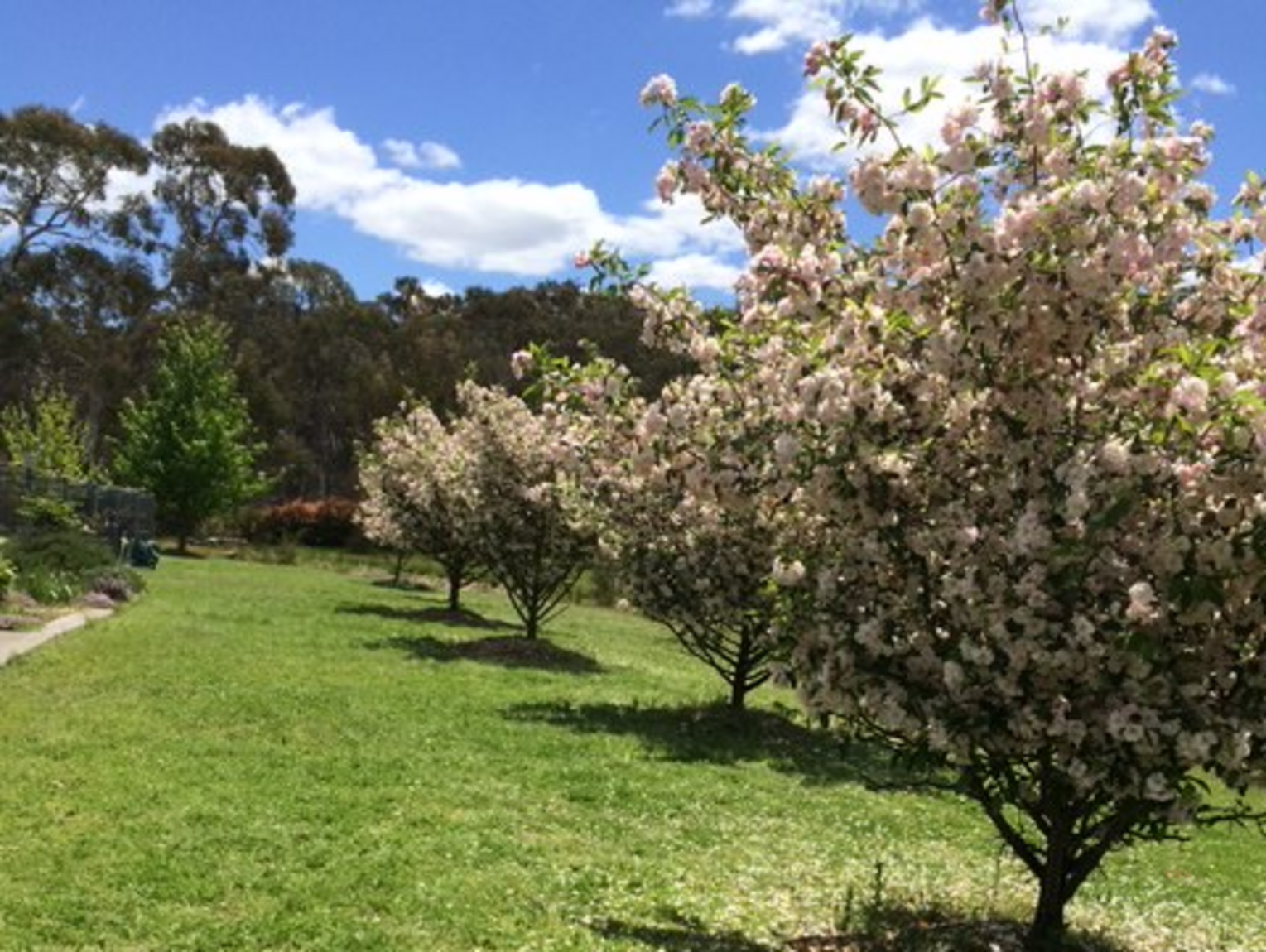 420 Mulwaree Drive Tallong 420 Mulwaree Drive Tallong