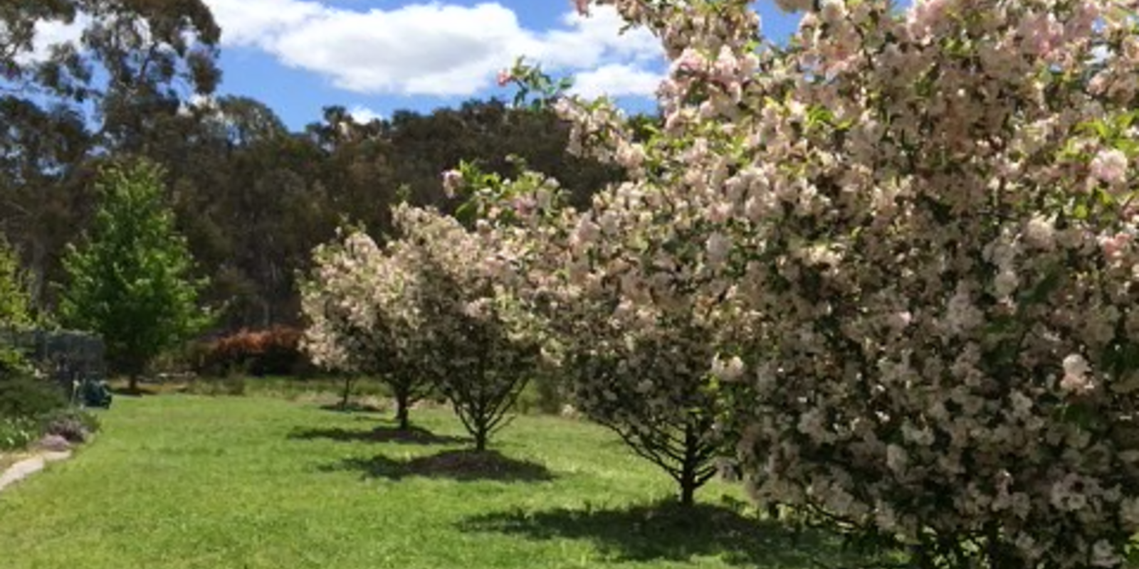420 Mulwaree Drive Tallong 420 Mulwaree Drive Tallong