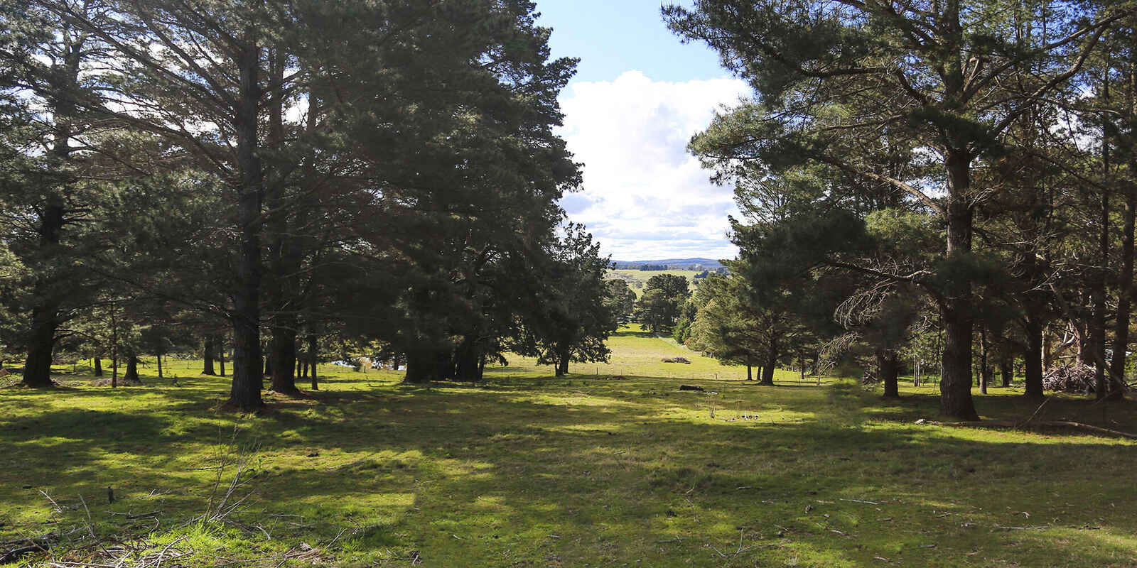 7031 Illawarra Highway Moss Vale