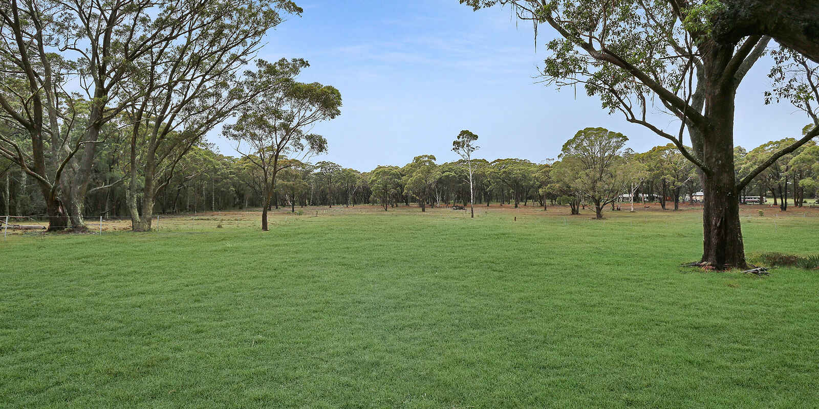  Wildwood/Nandi/Wattlebird Wingello