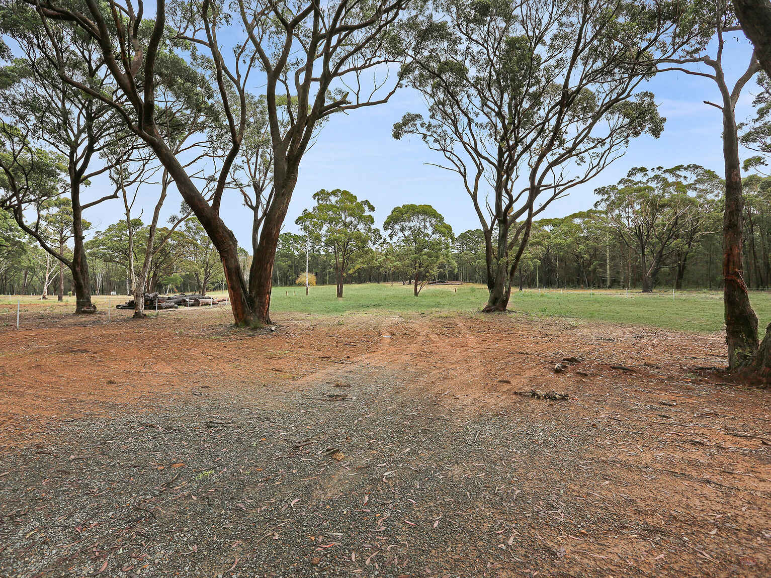  Wildwood/Nandi/Wattlebird Wingello