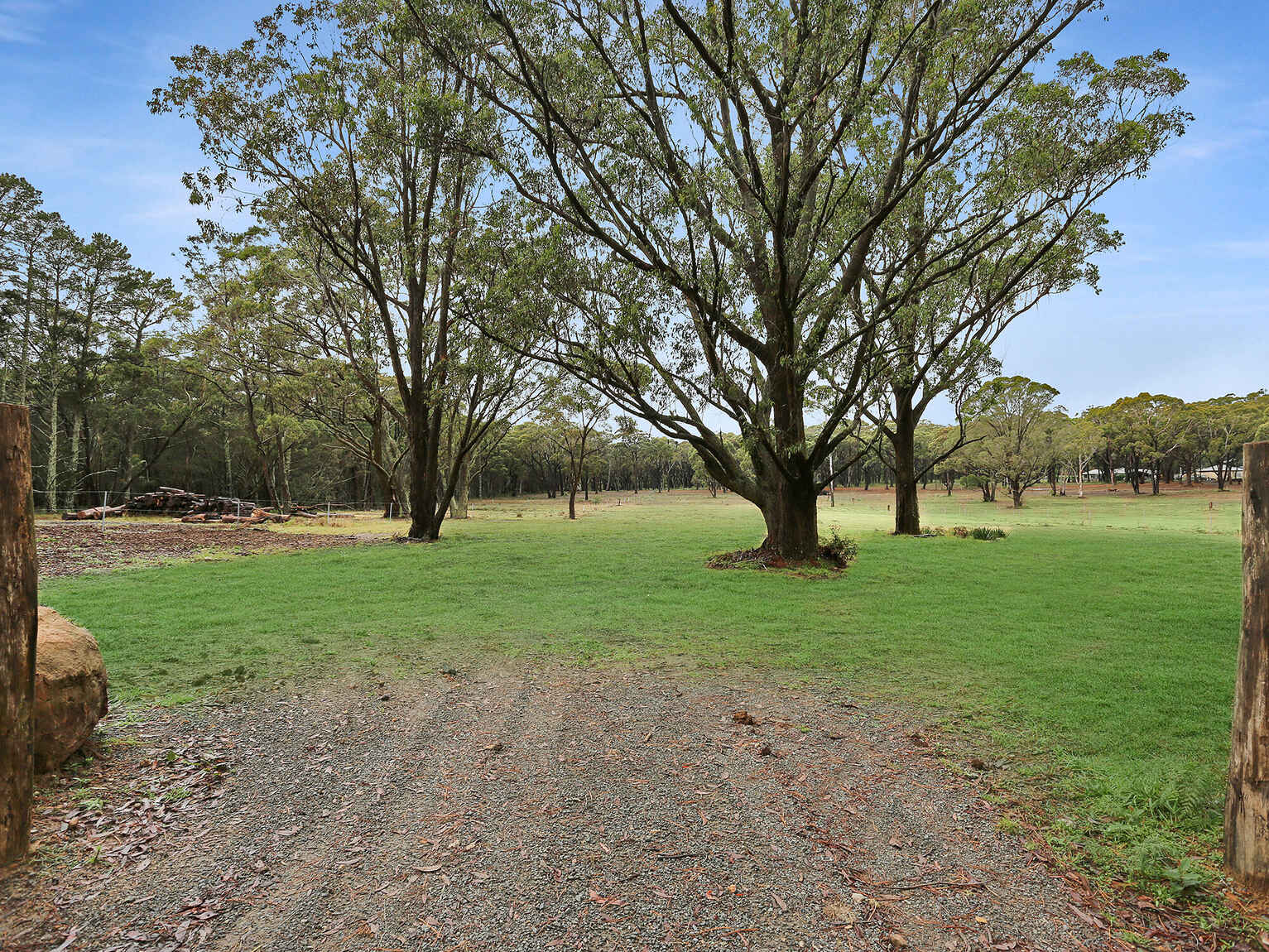  Wildwood/Nandi/Wattlebird Wingello