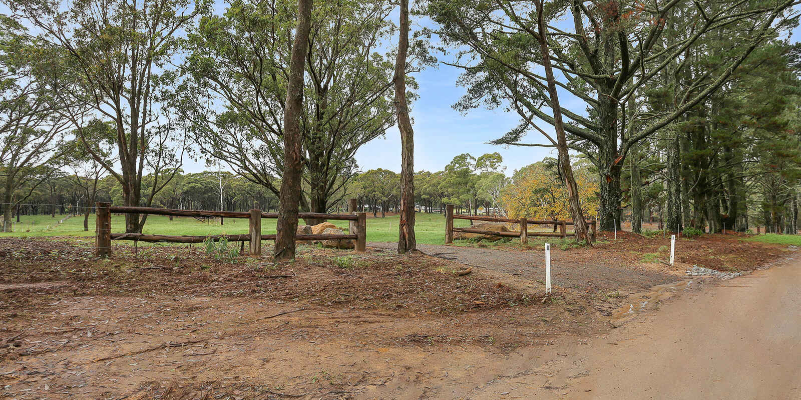  Wildwood/Nandi/Wattlebird Wingello