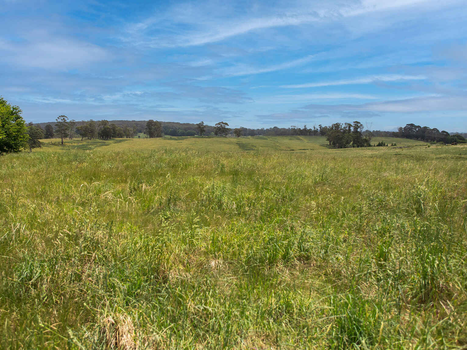 746 Sheepwash Road Avoca