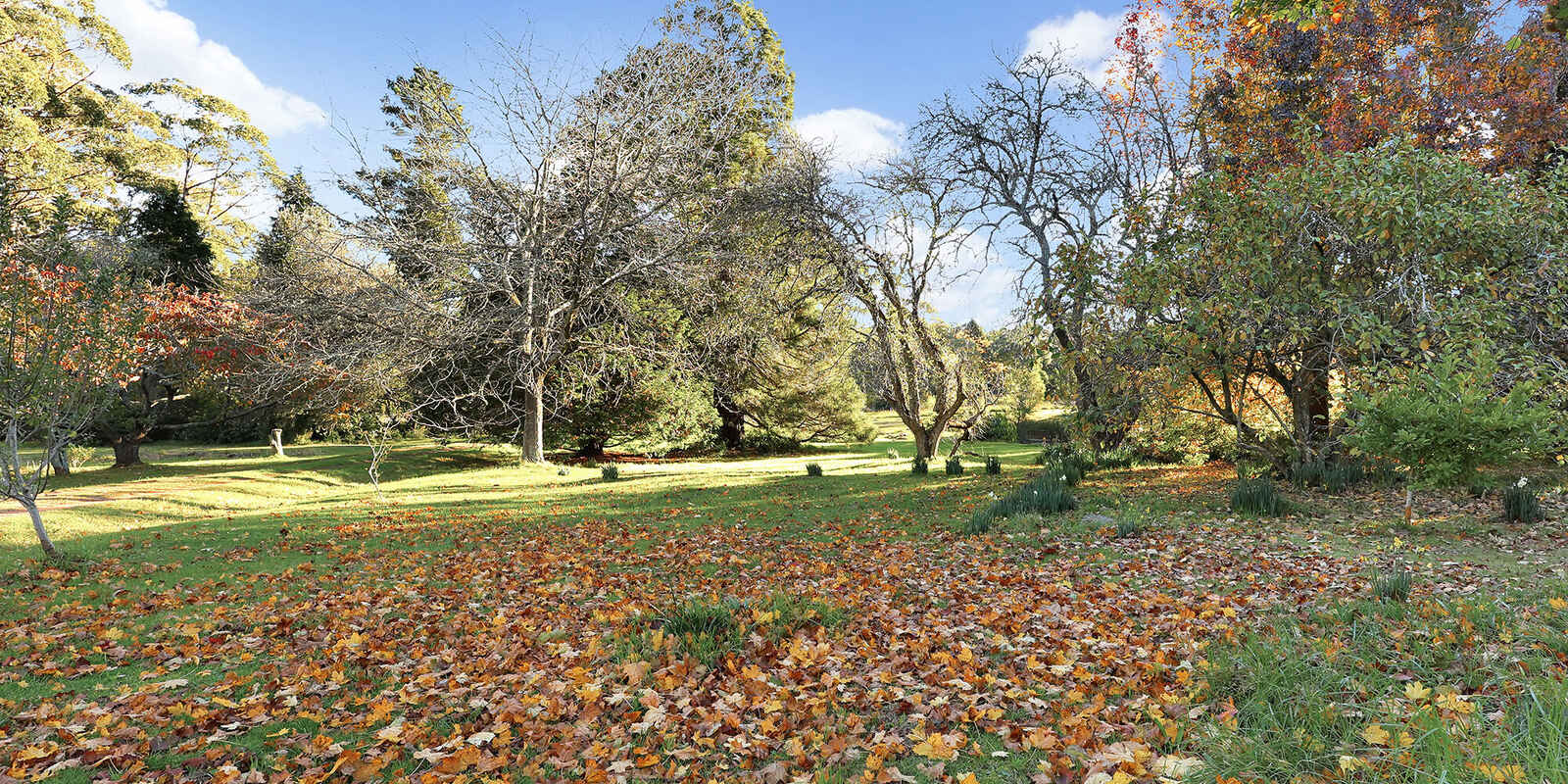 55 Yarrunga Road Wildes Meadow 55 Yarrunga Road Wildes Meadow
