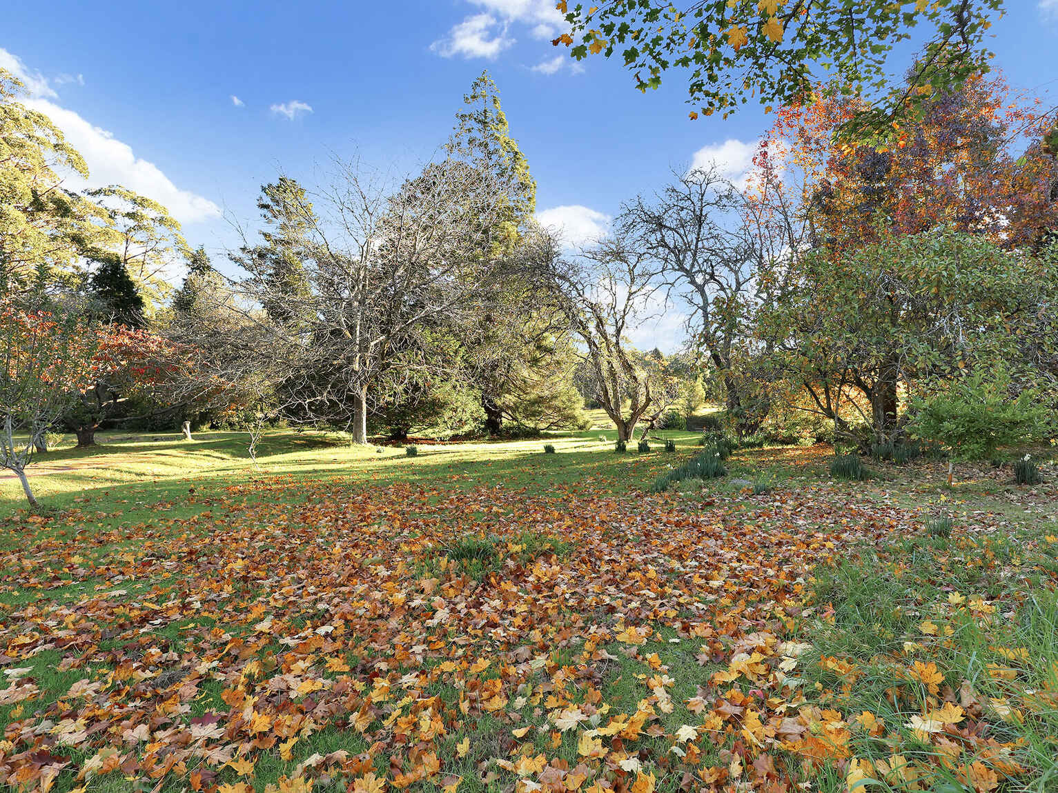 55 Yarrunga Road Wildes Meadow 55 Yarrunga Road Wildes Meadow