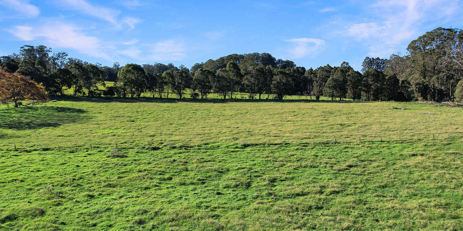 55 Yarrunga Road Wildes Meadow 55 Yarrunga Road Wildes Meadow