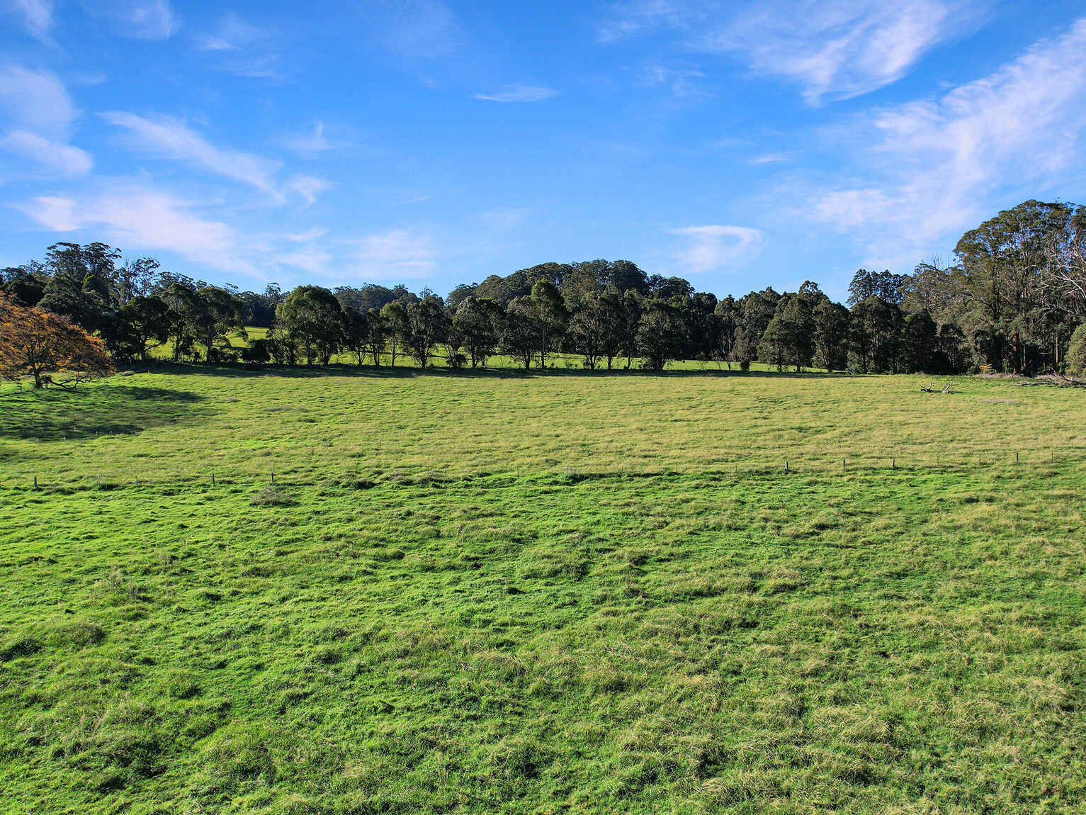55 Yarrunga Road Wildes Meadow 55 Yarrunga Road Wildes Meadow