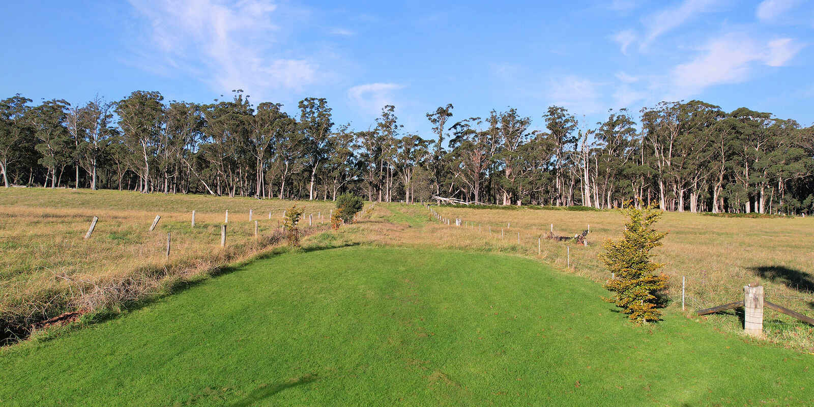 55 Yarrunga Road Wildes Meadow 55 Yarrunga Road Wildes Meadow