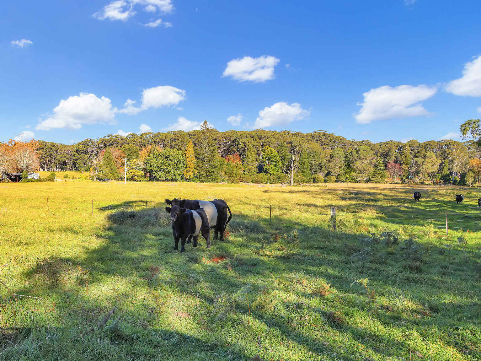 55 Yarrunga Road Wildes Meadow 55 Yarrunga Road Wildes Meadow