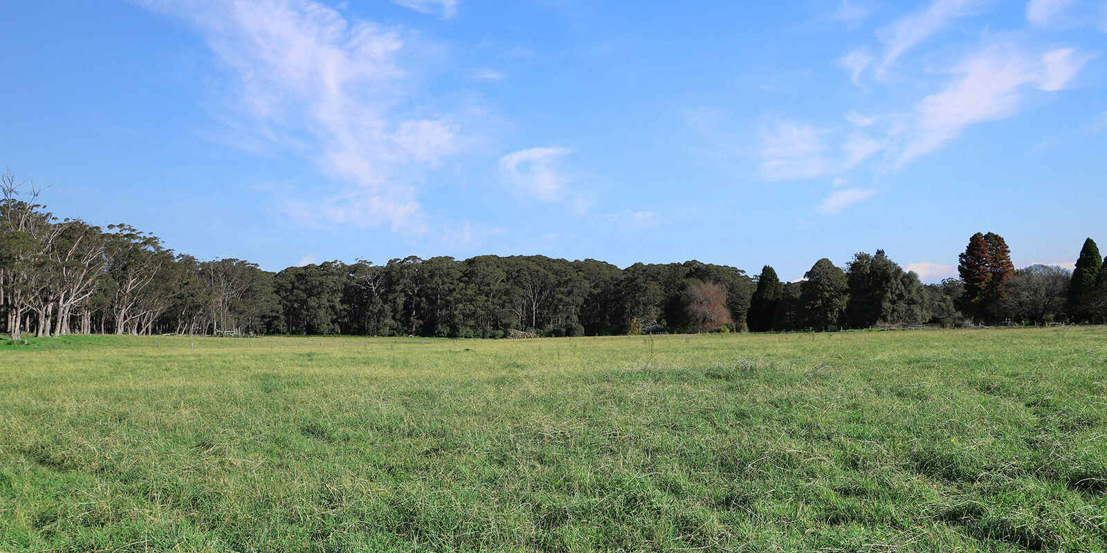 55 Yarrunga Road Wildes Meadow 55 Yarrunga Road Wildes Meadow