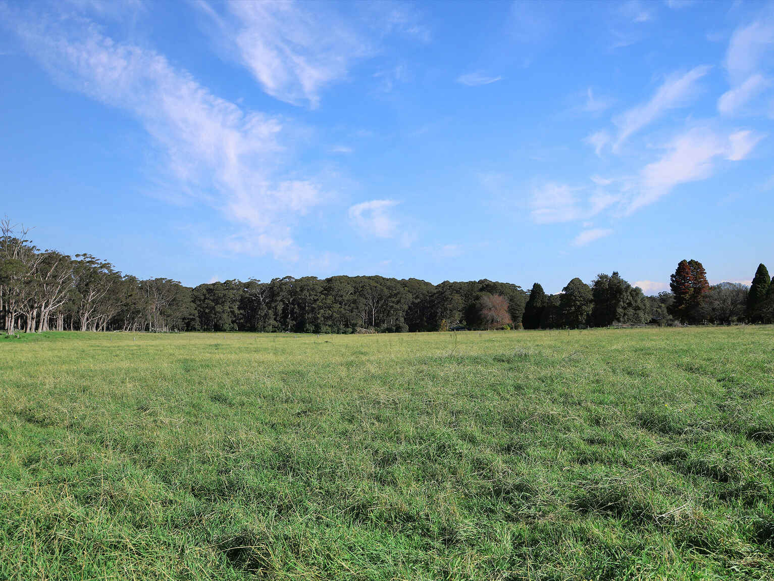 55 Yarrunga Road Wildes Meadow 55 Yarrunga Road Wildes Meadow