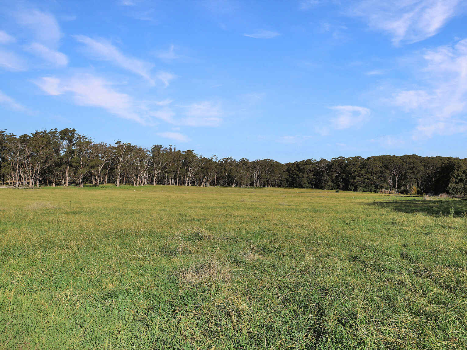 55 Yarrunga Road Wildes Meadow 55 Yarrunga Road Wildes Meadow