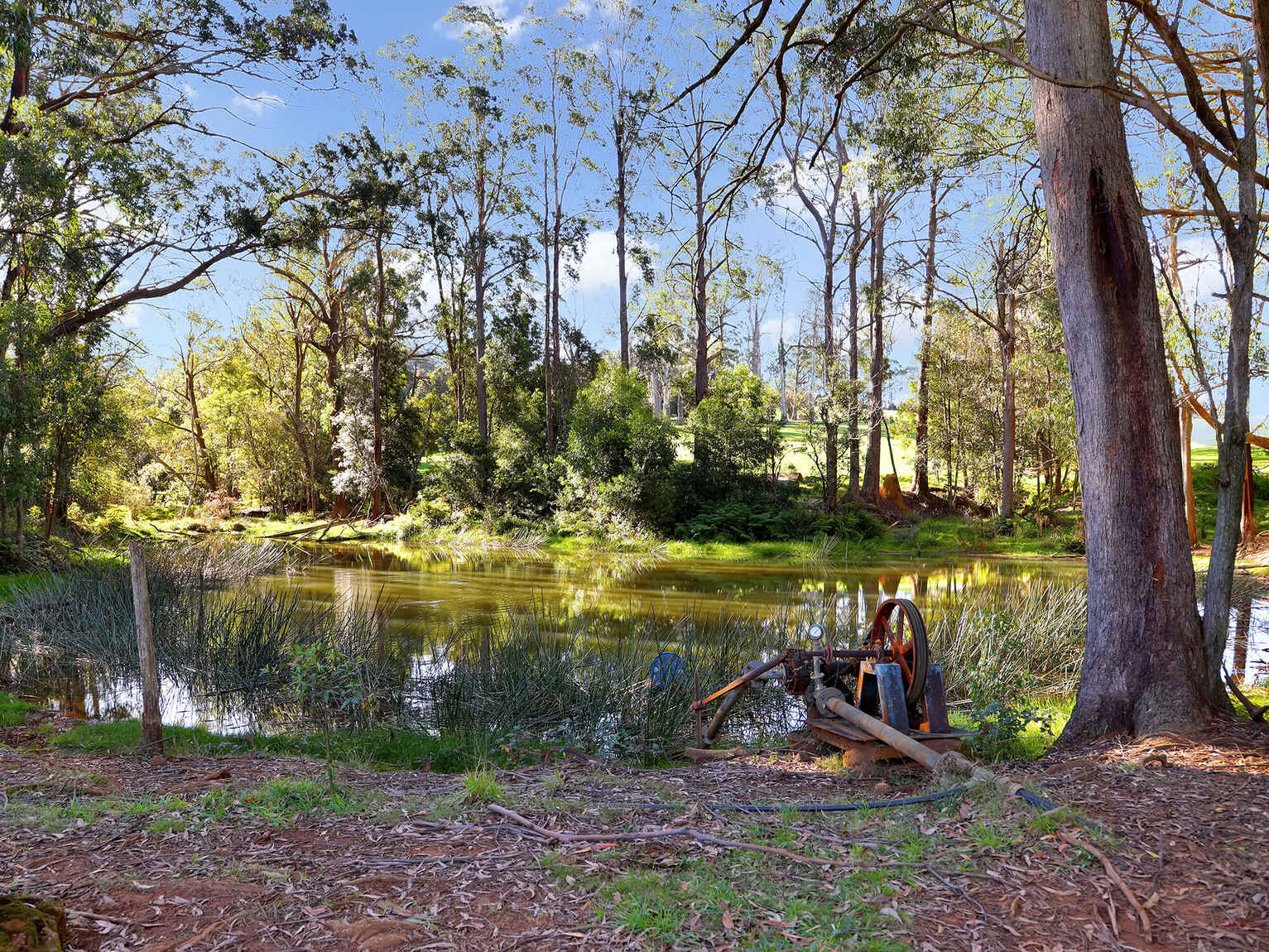 55 Yarrunga Road Wildes Meadow 55 Yarrunga Road Wildes Meadow