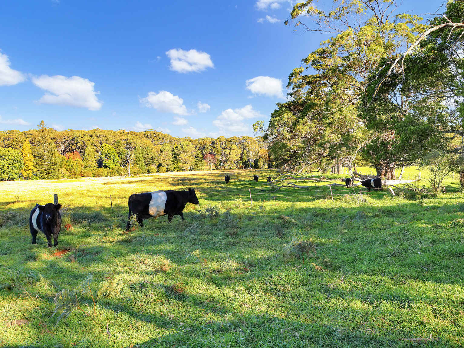 55 Yarrunga Road Wildes Meadow 55 Yarrunga Road Wildes Meadow