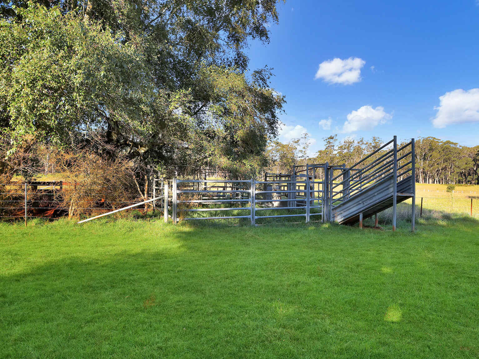 55 Yarrunga Road Wildes Meadow 55 Yarrunga Road Wildes Meadow