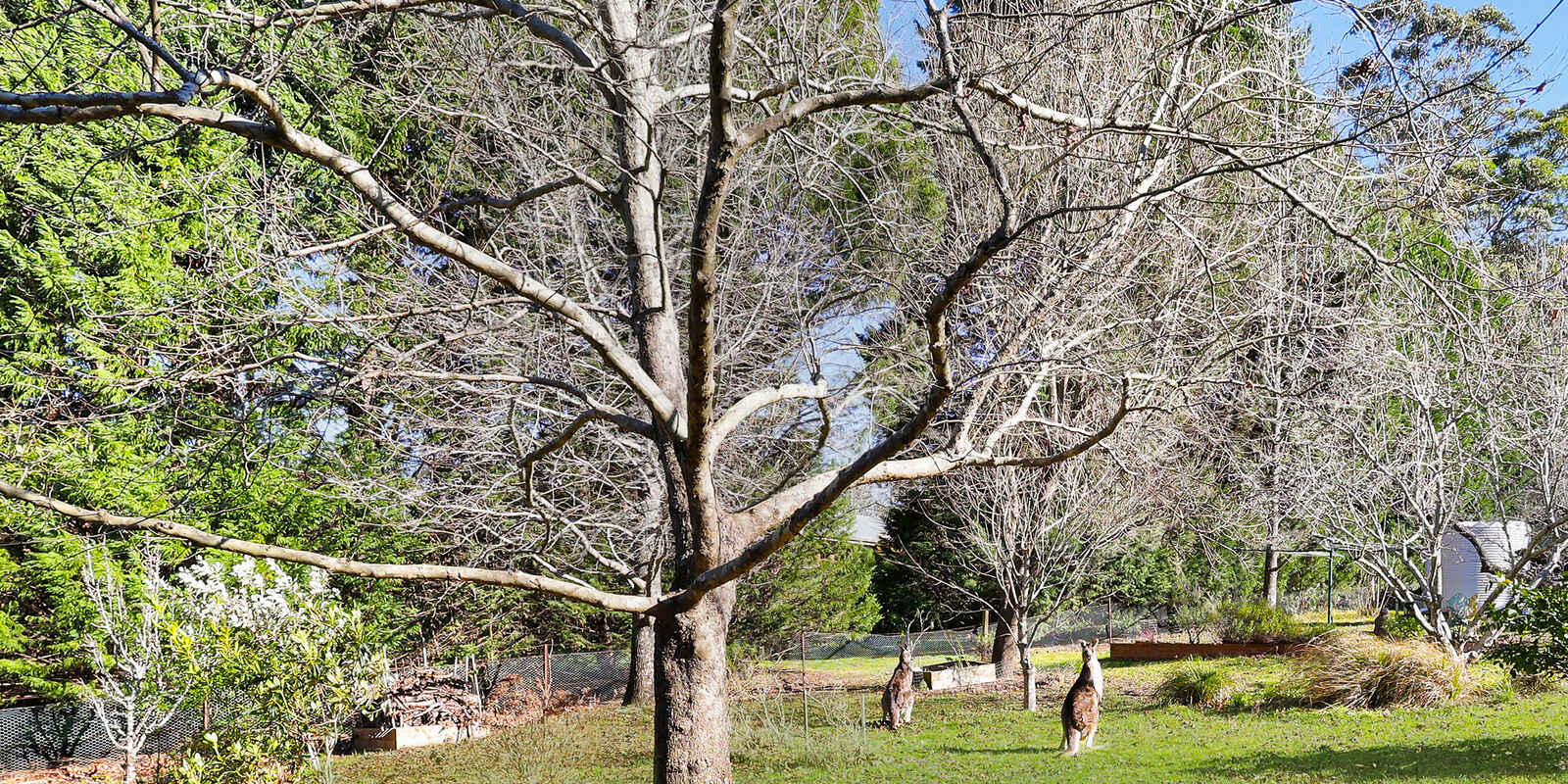 39 Garland Road Bundanoon