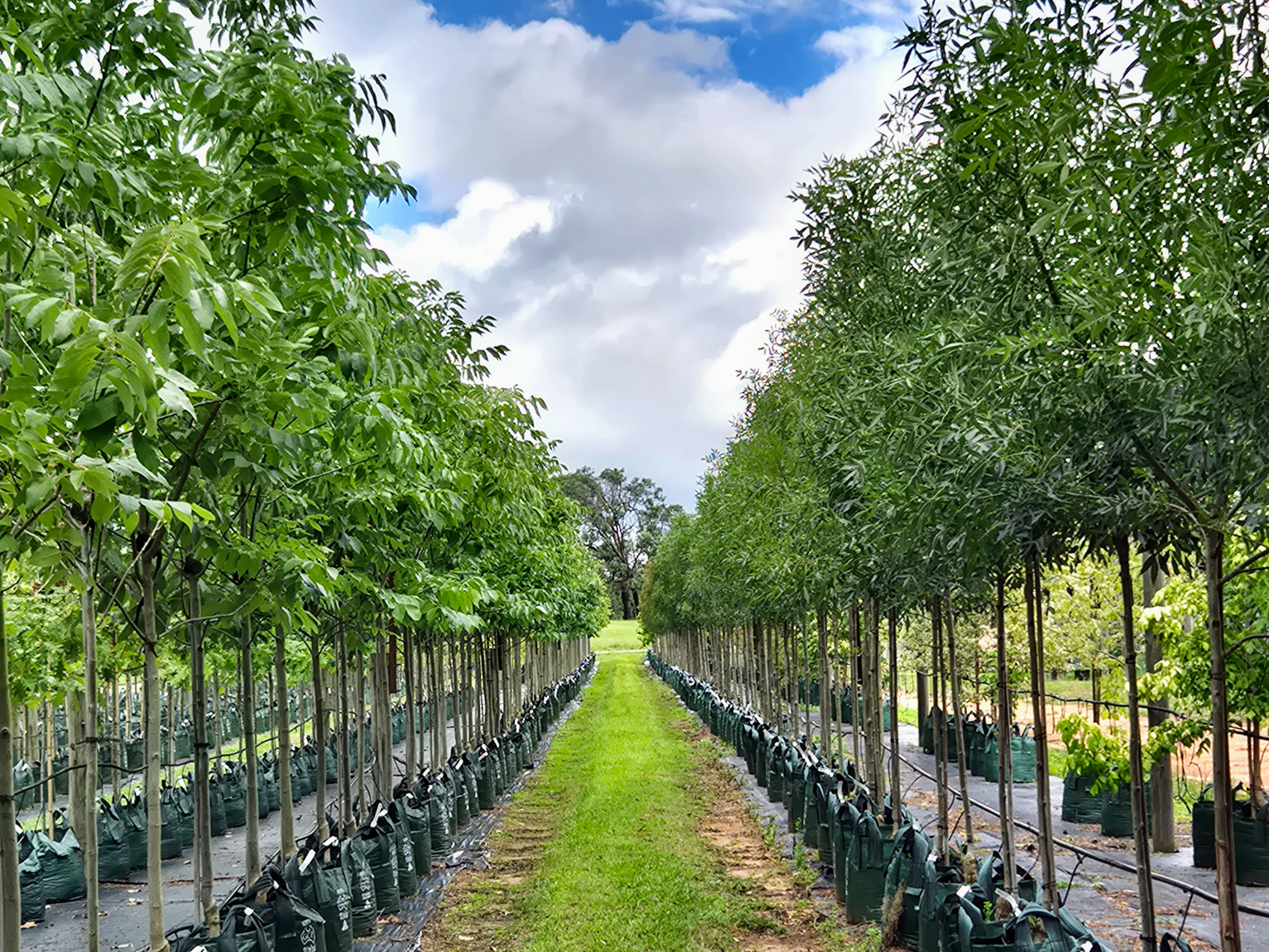 'Winter Hill' 2233 Canyonleigh Road Canyonleigh 'Winter Hill' 2233 Canyonleigh Road Canyonleigh
