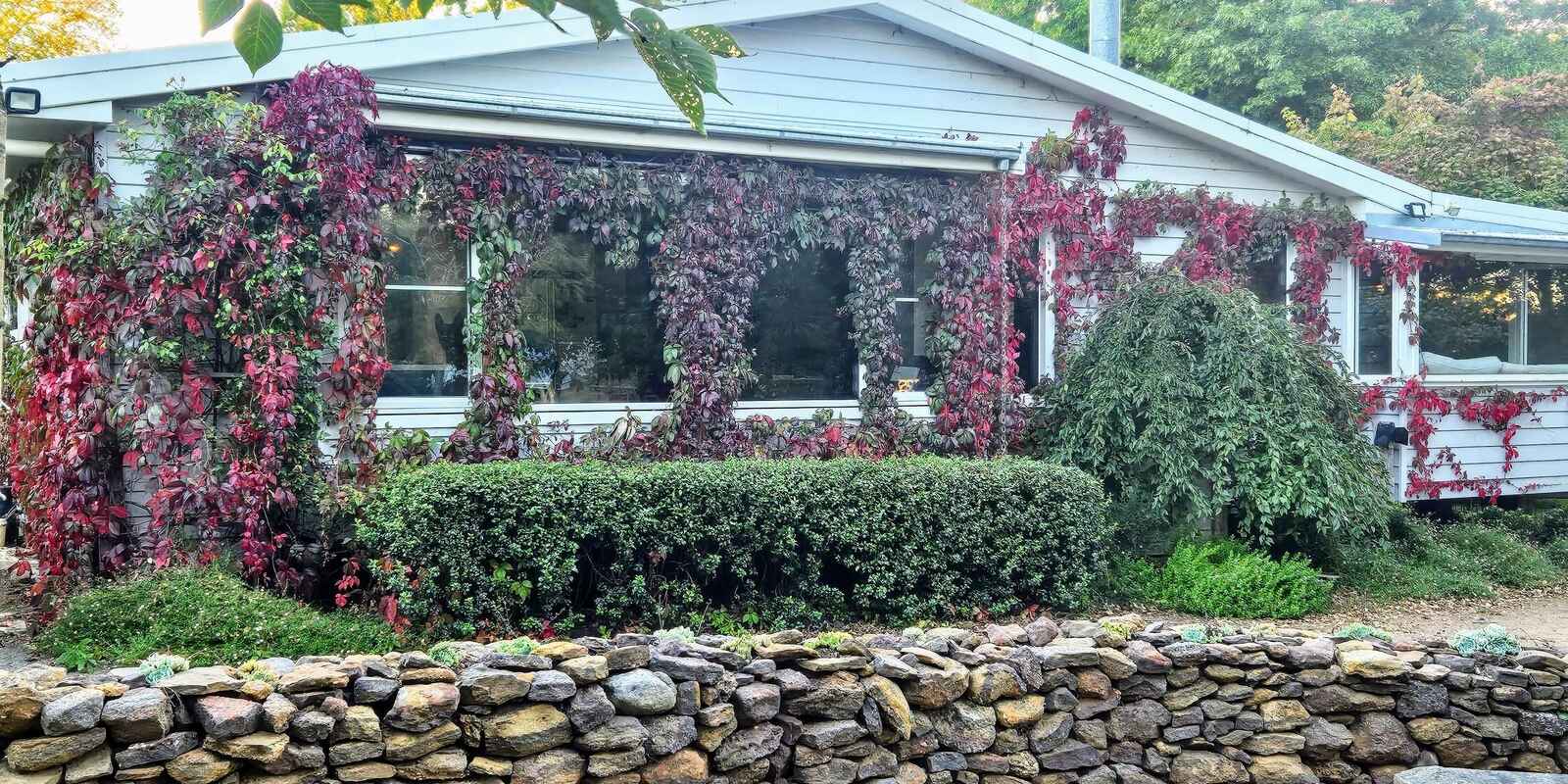 'Winter Hill' 2233 Canyonleigh Road Canyonleigh 'Winter Hill' 2233 Canyonleigh Road Canyonleigh